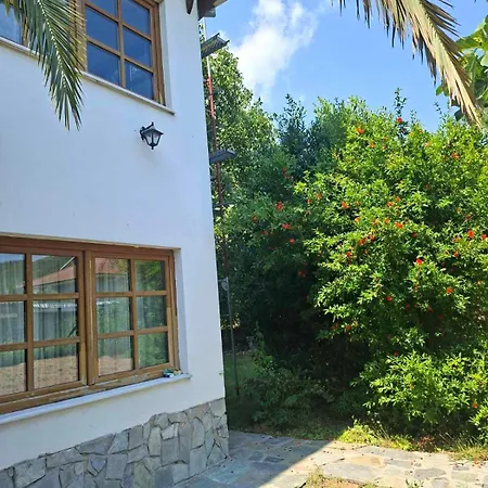 Ivy Traditional House *